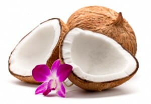 coconuts