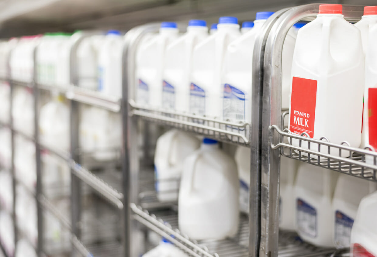 rows of milk selection in grocery store filling frame.