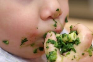 Baby Led Weaning