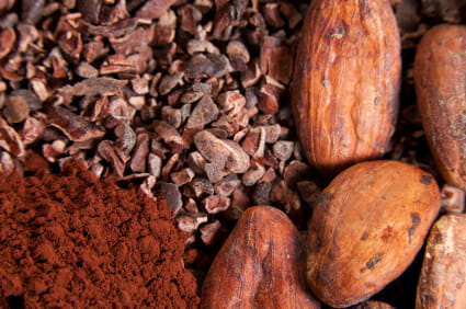 cacao nuts