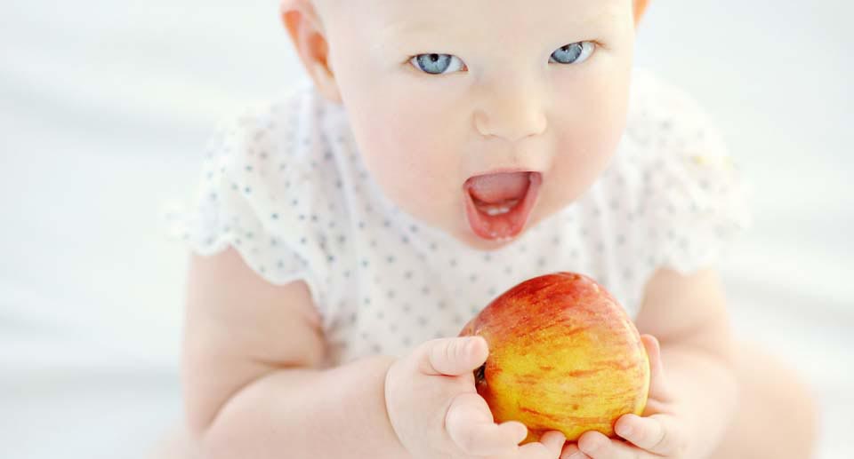 The difference between baby led weaning and puree based weaning