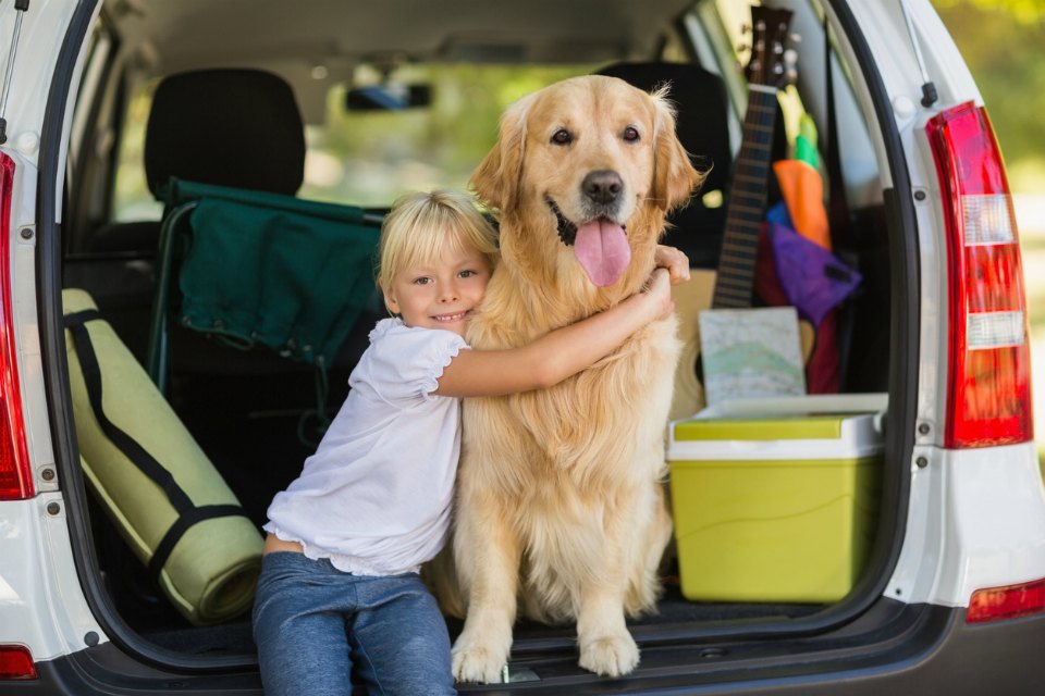 little girl in car with dog