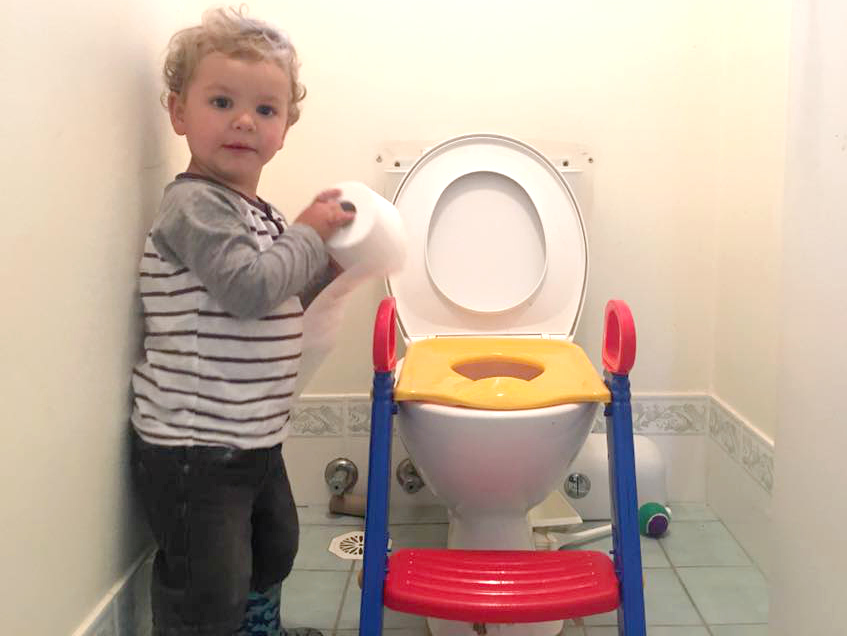 Image result for toilet training