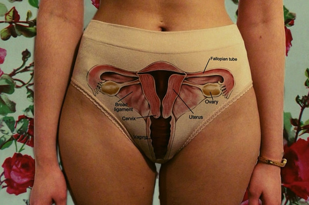 Tight swimsuit bottom vagina Tight swimsuit bottom vagina have thought