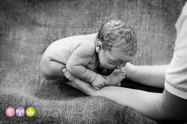 A Rare Look Into How Babies Fit Inside The Womb