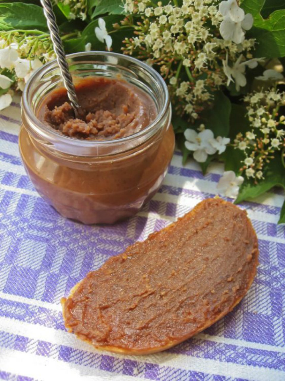 Healthy Hazelnut Spread