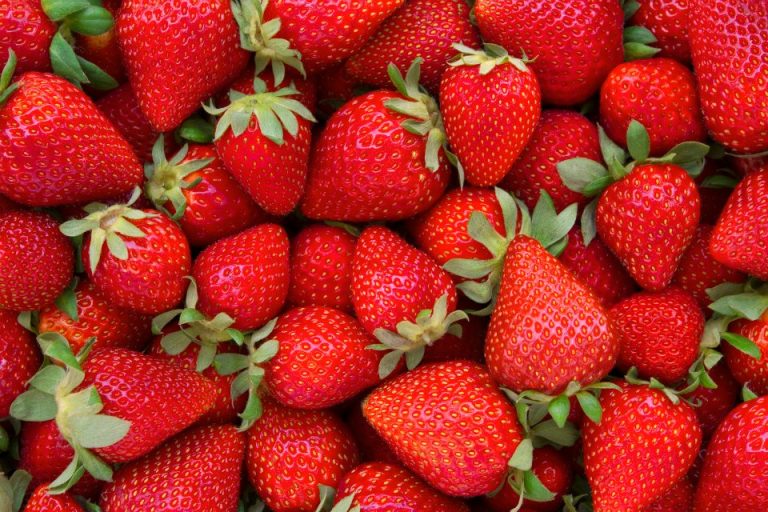 fresh strawberries