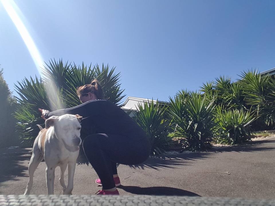 Jenny_Mcphail-swats-while-walking-the-dog