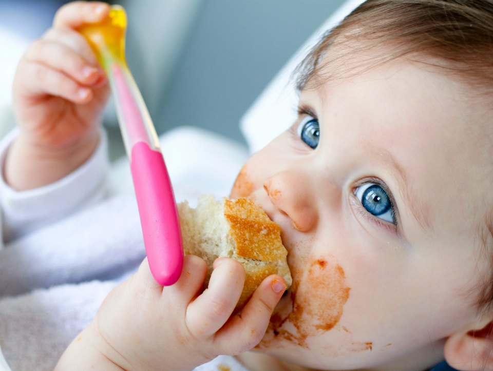 baby eating bread