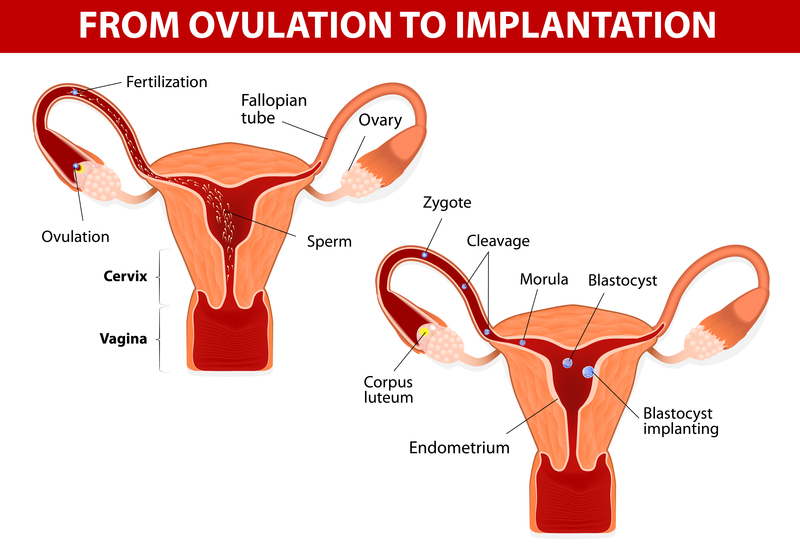 Period problems? Here's what your body is trying to tell ...