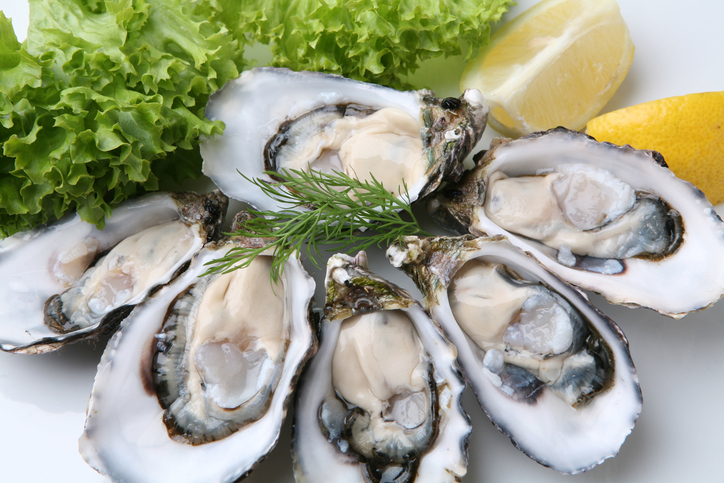 Oysters on white plate