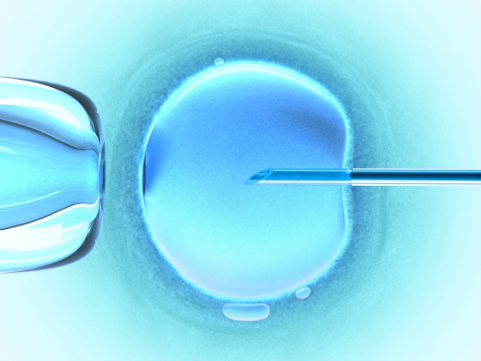 New research finds 1 in 6 women are able to ‘conceive naturally’ after failed IVF