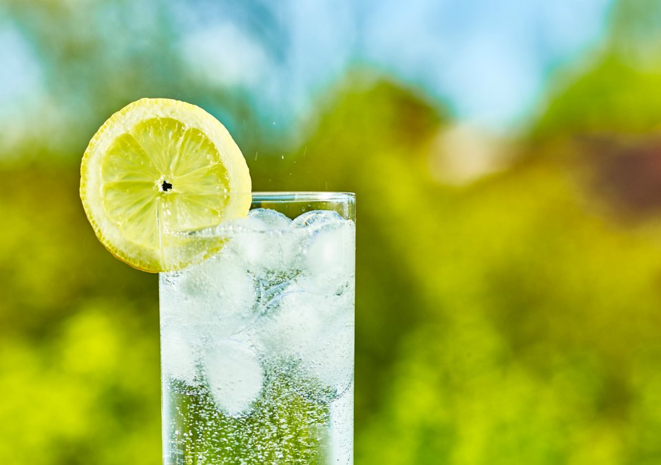 sparkling water with lemon