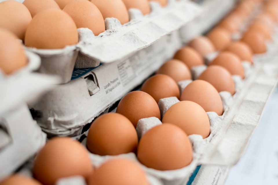 free range eggs boycott Choice