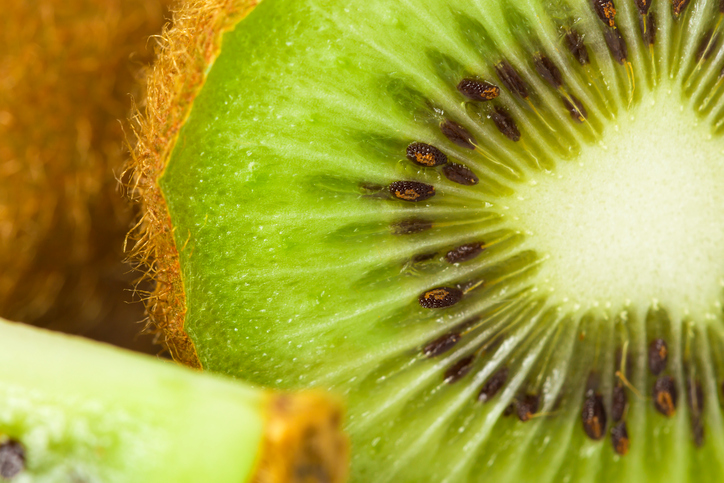 Close up kiwi slice