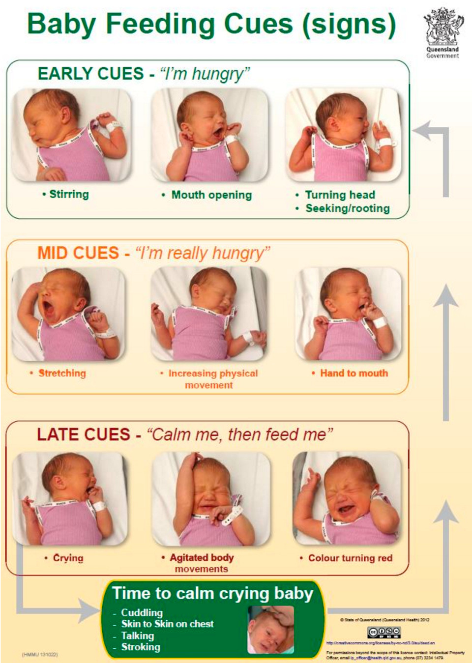 baby feeding cues