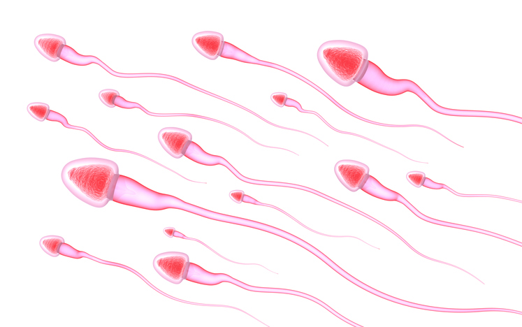 Scientists believe they may have found a major cause behind male infertility