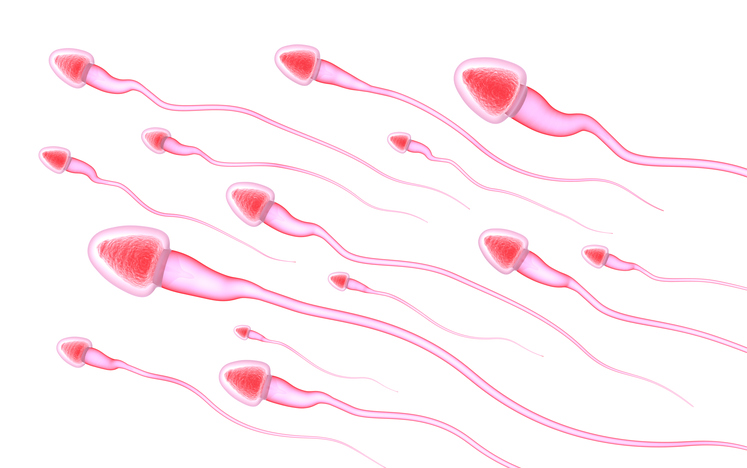 sperm