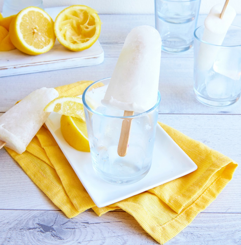 3 Ingredient Lovely Lemon Ice Blocks 