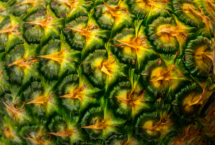 Fresh Pineapple close up. Fresh Pineapple close up.
