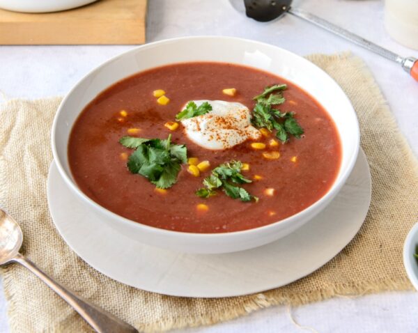 Vegetarian Mexican Style Soup