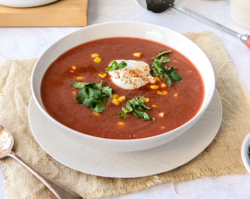 Vegetarian Mexican Style Soup