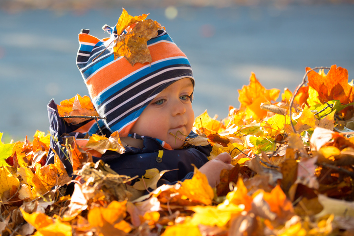 small child sits in yellow autumn leaves