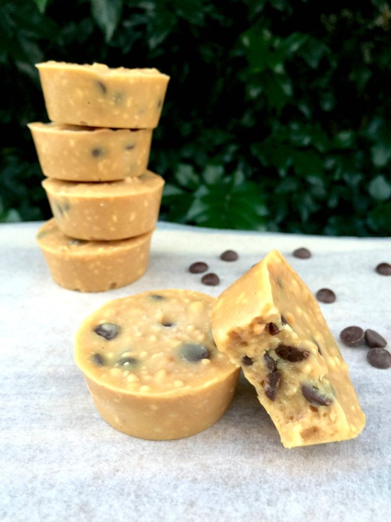 5 ingredient choc chip fudge