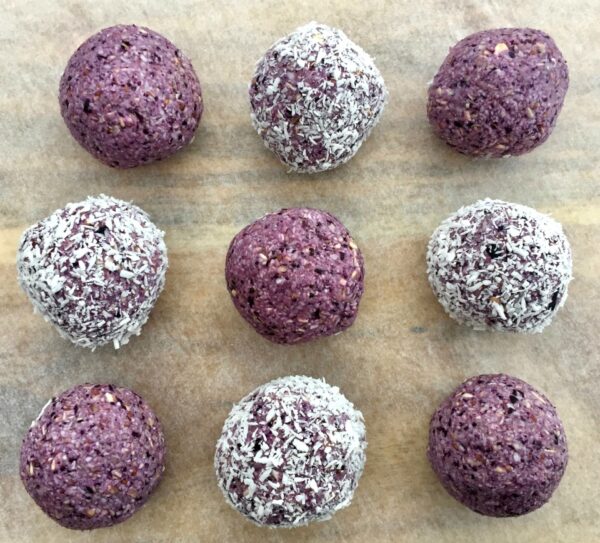 Blueberry Bites Blueberry Bites