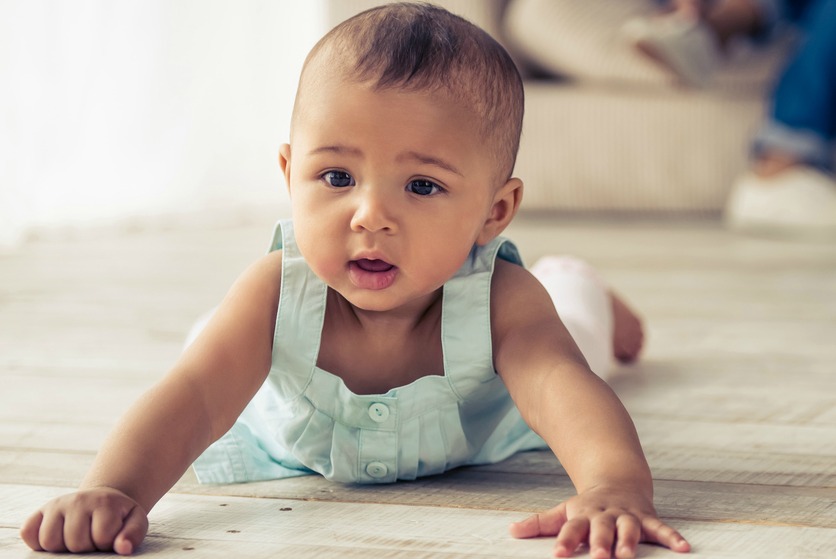 Adorable Afro American baby girl is looking forward with interest while crawling on wooden floor at home