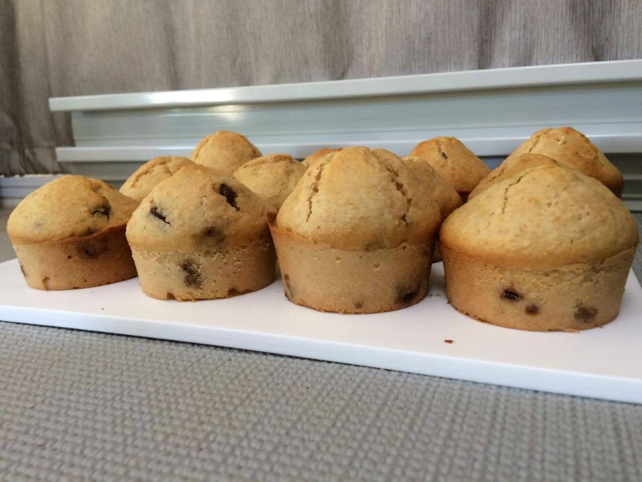 choc-chip-muffins