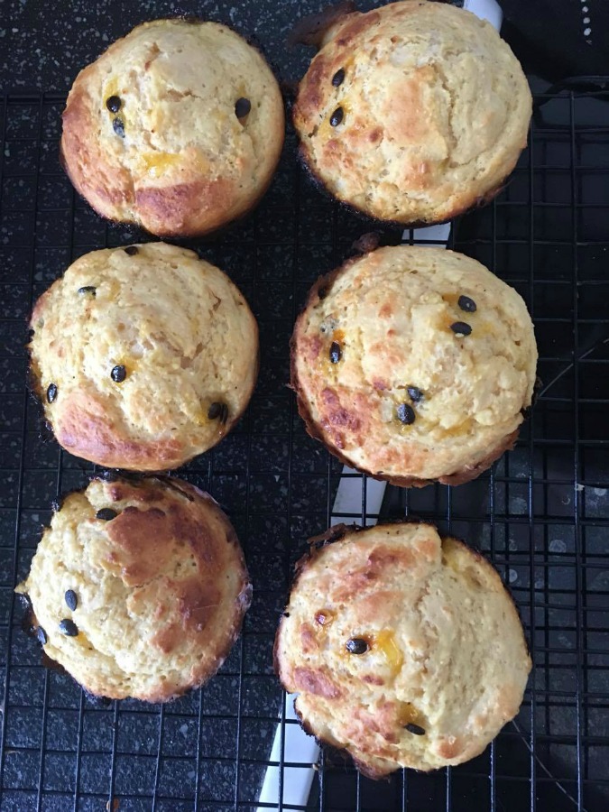 passionfruit-muffins