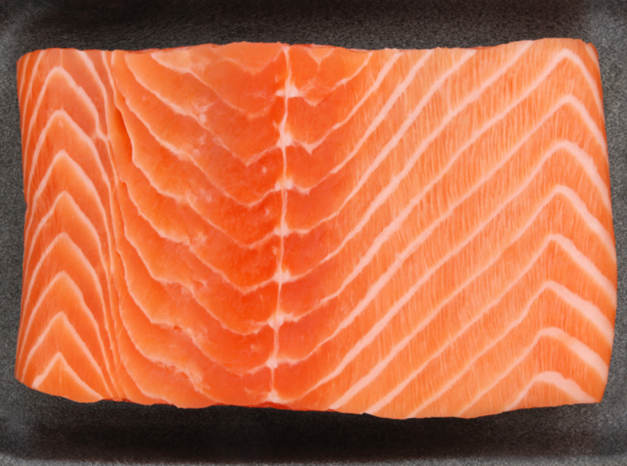 salmon