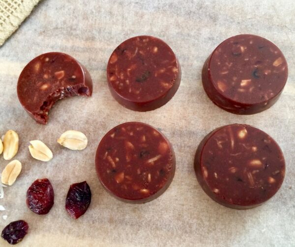 Coconut chocolate and cranberry disks