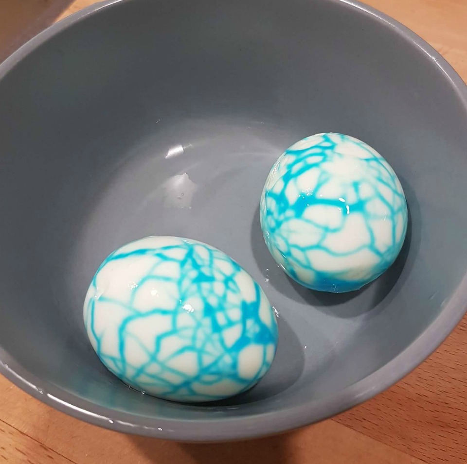 dinosaur eggs