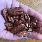 Pecans nuts to increase calories