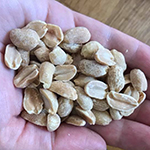 peanuts nuts to increase calories