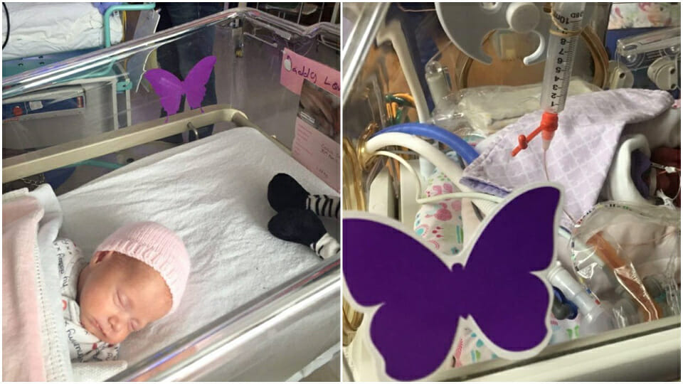 Heartbreaking: The meaning behind the purple butterfly stickers on a baby’s cot in hospital