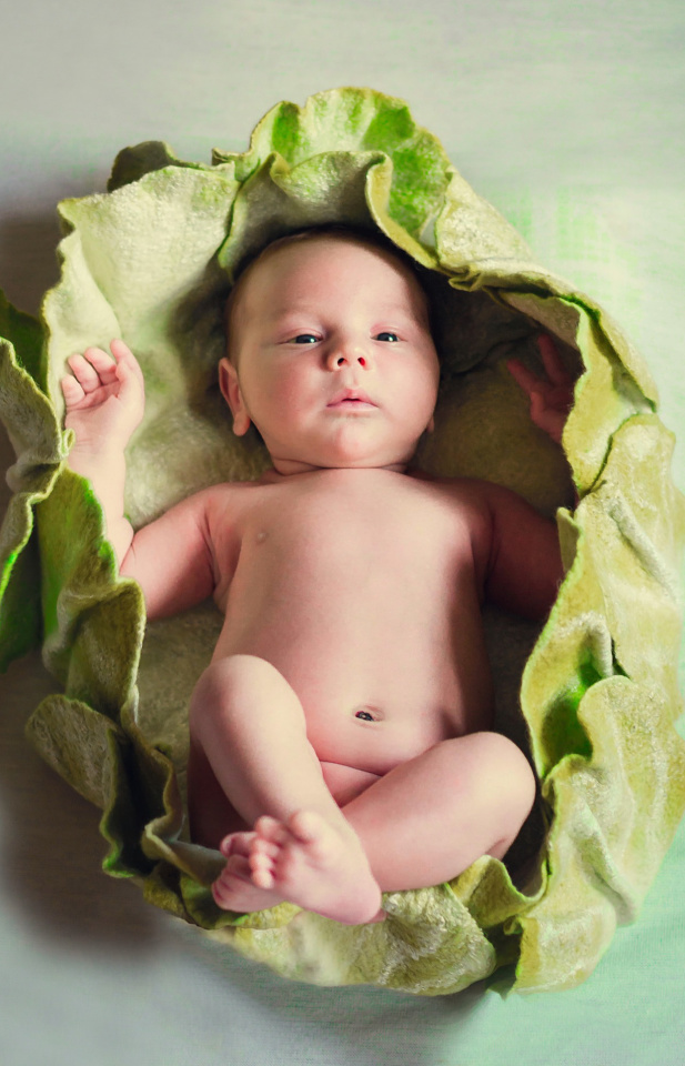 baby in cabbage