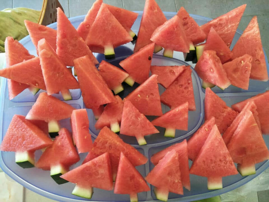 watermelon christmas trees