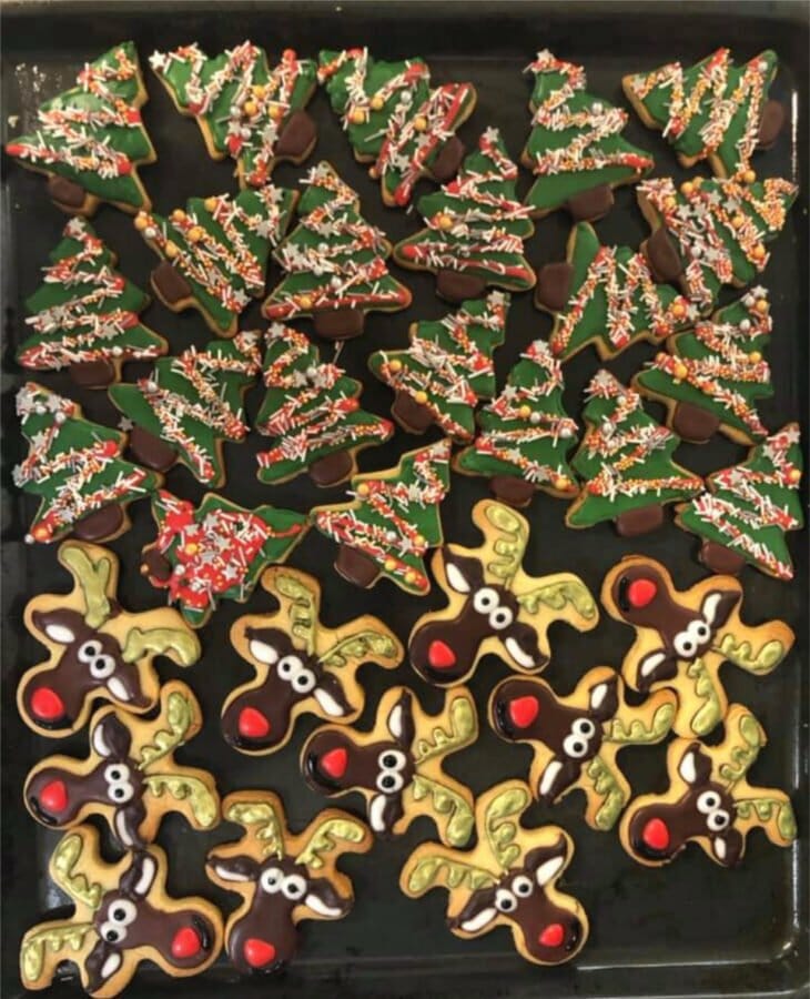 Healthy-Gingerbread-cookies-sarah-purvis-1-2