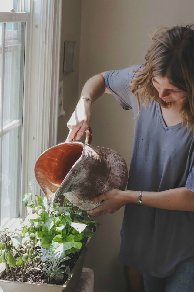 Crazy plant ladies are more likely to live longer and happier lives, study finds