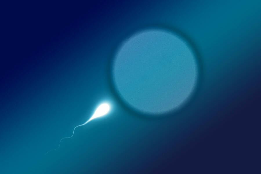 Scientists believe they may have found a major cause behind male infertility