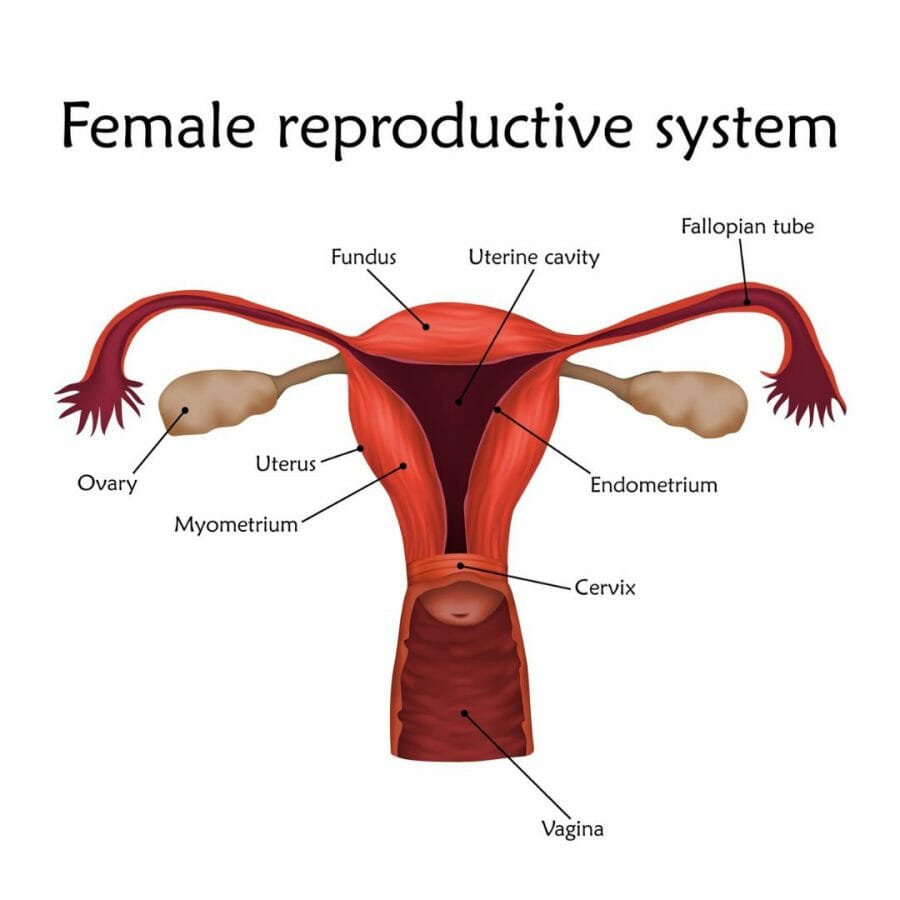 period pain