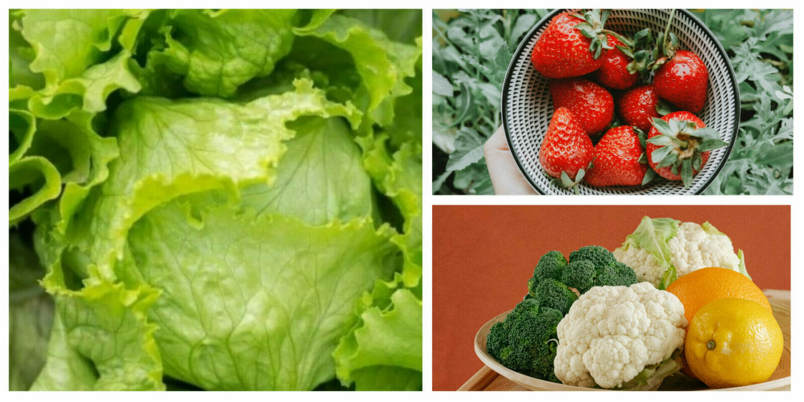 Alternative ways to get crucial nutrients - The Healthy Mummy by Moshy