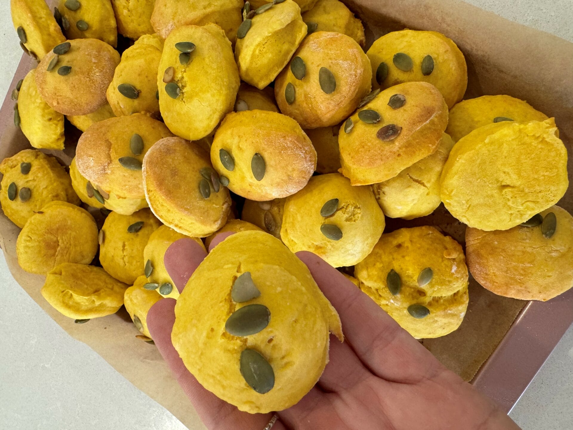 pumpkin scones